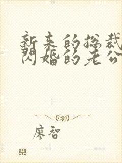 新来的总裁竟是闪婚的老公短剧