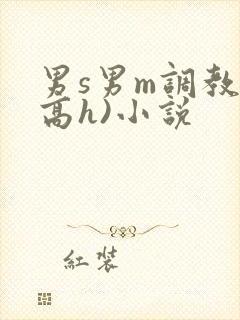 男s男m调教(高h)小说