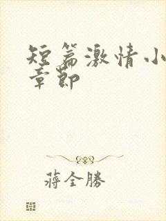 短篇激情小说全章节