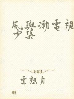 风与潮电视剧多少集