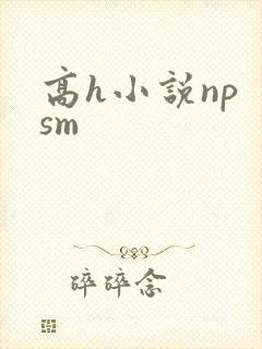 高h小说np sm