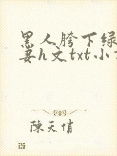 黑人胯下绿帽人妻h文txt小说下载