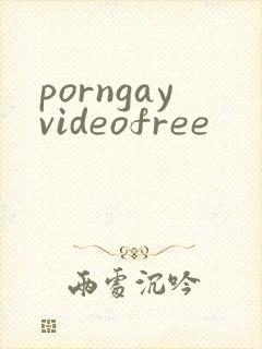 porngayvideofree