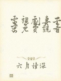 电视剧妻子的秘密免费观看完整版全集
