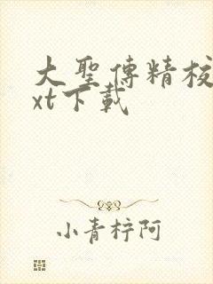大圣传精校版txt下载