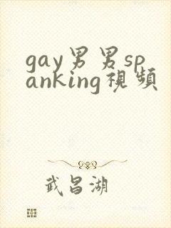 gay男男spanking视频