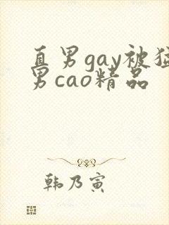 直男gay被猛男cao精品
