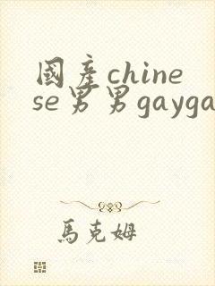 国产chinese男男gaygay网站vk