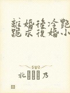 离婚后冷艳总裁跪求复婚小说