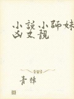 小说小师妹她又凶又靓封面