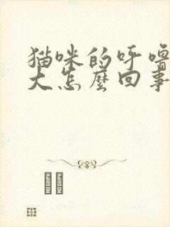 猫咪的呼噜声很大怎么回事封面