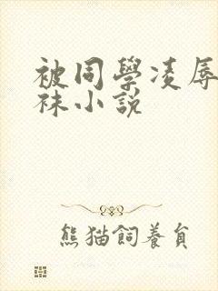 被同学凌辱的丝袜小说