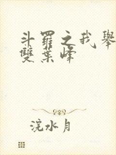 斗罗之我举世无双叶峰