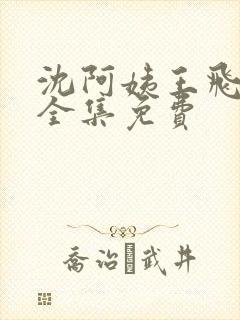 沈阿姨王飞小说全集免费封面