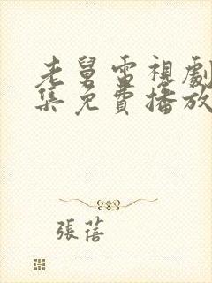 老舅电视剧40集免费播放大全封面