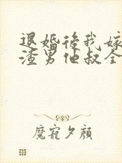 退婚后我嫁给了渣男他叔全文在线阅读封面