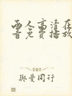 两人高清在线观看免费播放电视剧网