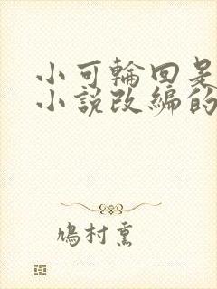 小可轮回是什么小说改编的