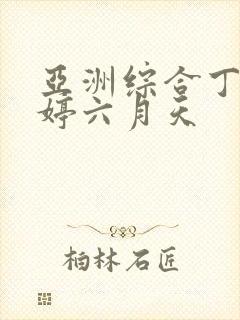 亚洲综合丁香婷婷六月天封面