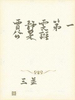贾静雯第一任老公是谁封面