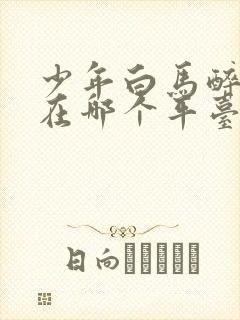 少年白马醉春风在哪个平台播放封面