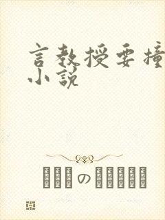 言教授要撞坏了小说