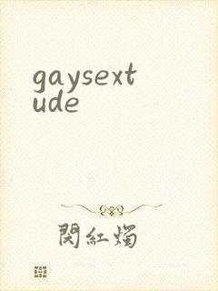 gaysextude