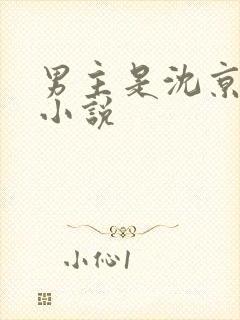 男主是沈京寒的小说