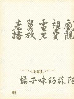 老舅电视剧在线播放免费观看高清