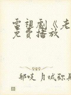 电视剧《老舅》免费播放