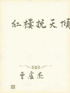红楼挽天倾加料