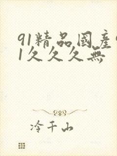 91精品国产91久久久无