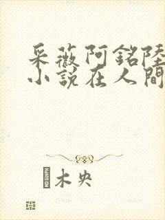 采薇阿铭陆三平小说在人间