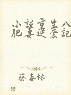 小说重生八零:肥妻逆袭记封面