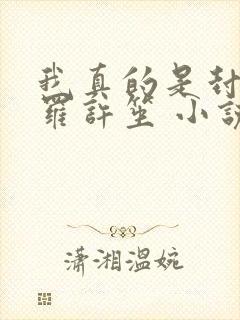 我真的是封号斗罗许笙 小说封面
