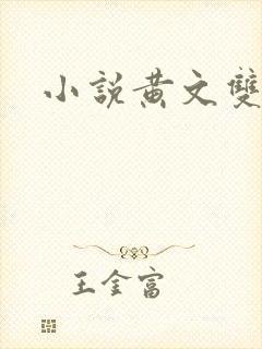 小说黄文双男主