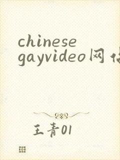 chinesegayvideo网站