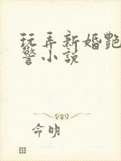玩弄新婚艳妇女警小说