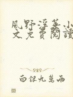 风野浮华小说全文免费阅读无弹窗
