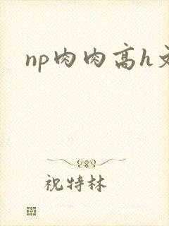 np肉肉高h文