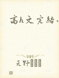 高h文完结小说