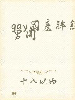 gay国产胖熊男同封面