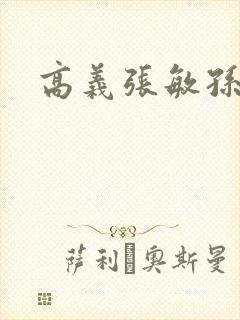 高义张敏孙倩封面