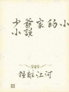 少爷家的小女仆小说封面