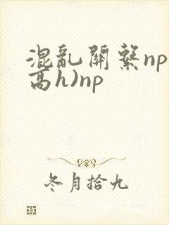 混乱关系np(高h)np