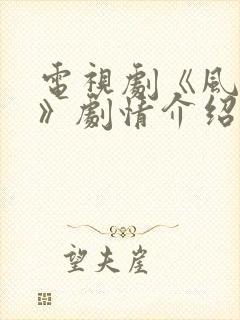 电视剧《风与潮》剧情介绍