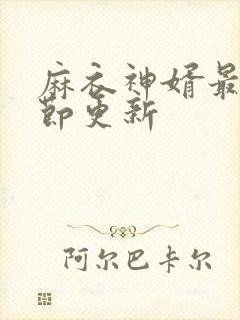 麻衣神婿最新章节更新