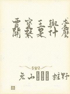 贾宝玉与袭人的关系是什么