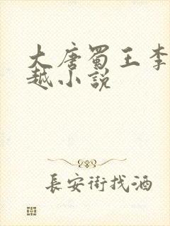 大唐蜀王李恪穿越小说封面