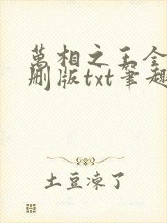 万相之王全本无删版txt笔趣阁